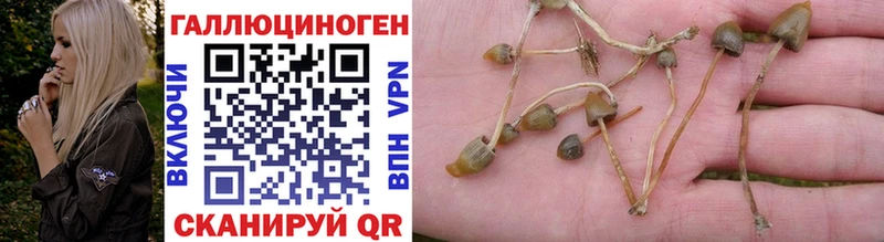 kraken зеркало  Вилюйск  Галлюциногенные грибы Magic Shrooms  купить наркотик 