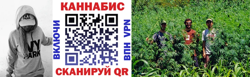 Канабис Amnesia  маркетплейс какой сайт  Вилюйск  магазин    mega вход 